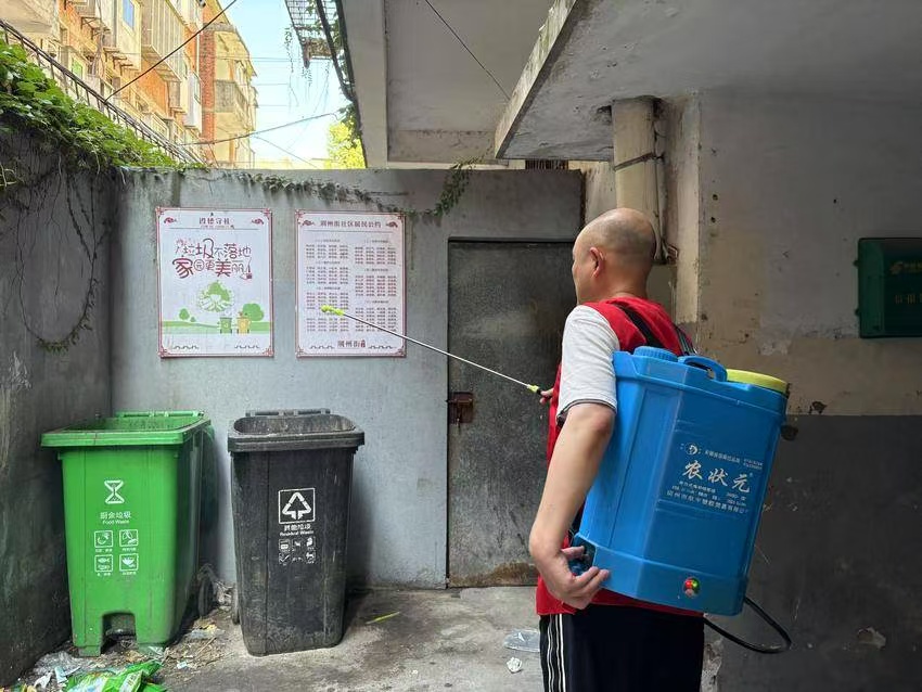 夏季怎么有效消杀防治?